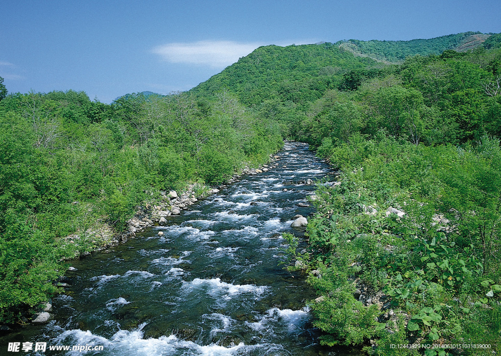 四季景观