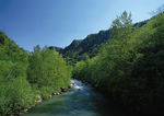 四季景观