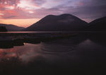 四季景观