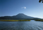 四季景观