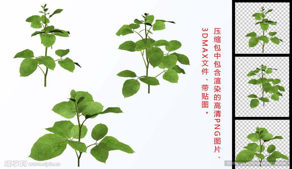 树木