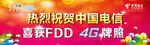 中国电信喜获FDD 4G牌