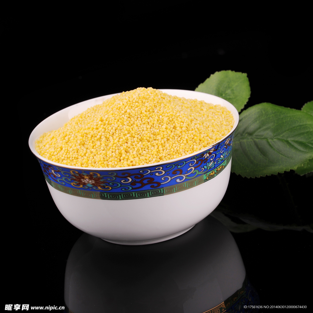 小米摄影素材