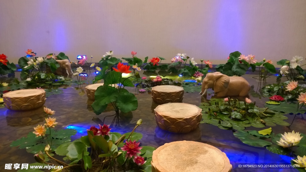 莲花池