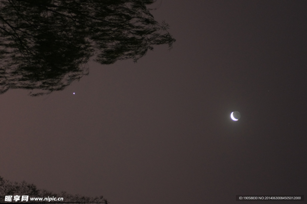 月与金星