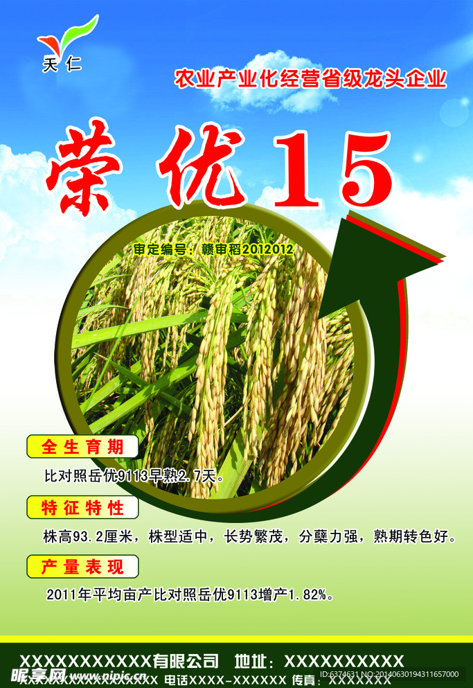 稻子