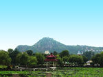 风景 山 摄影 亭子