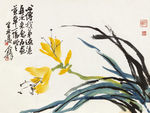 萱草