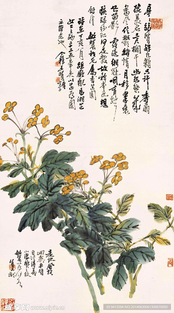 芝兰