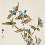 兰花