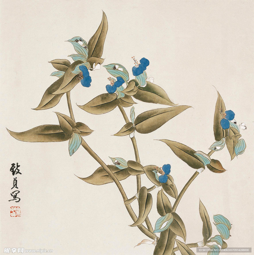 兰花