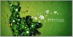 树叶裙子