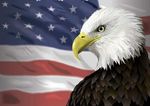 美国设计 美国国旗