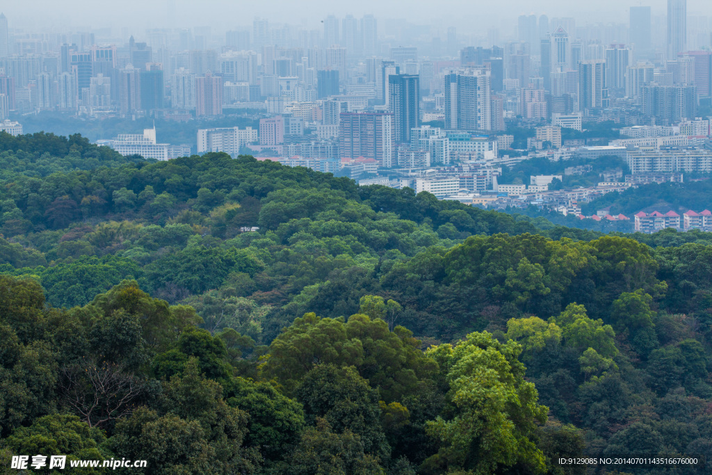 白云山