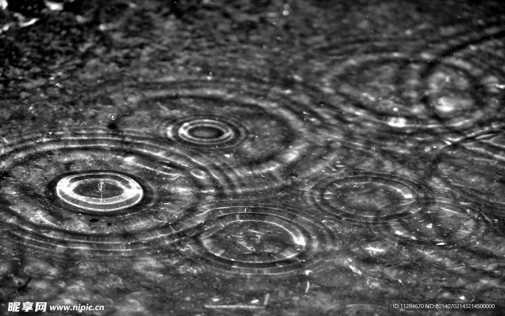 雨