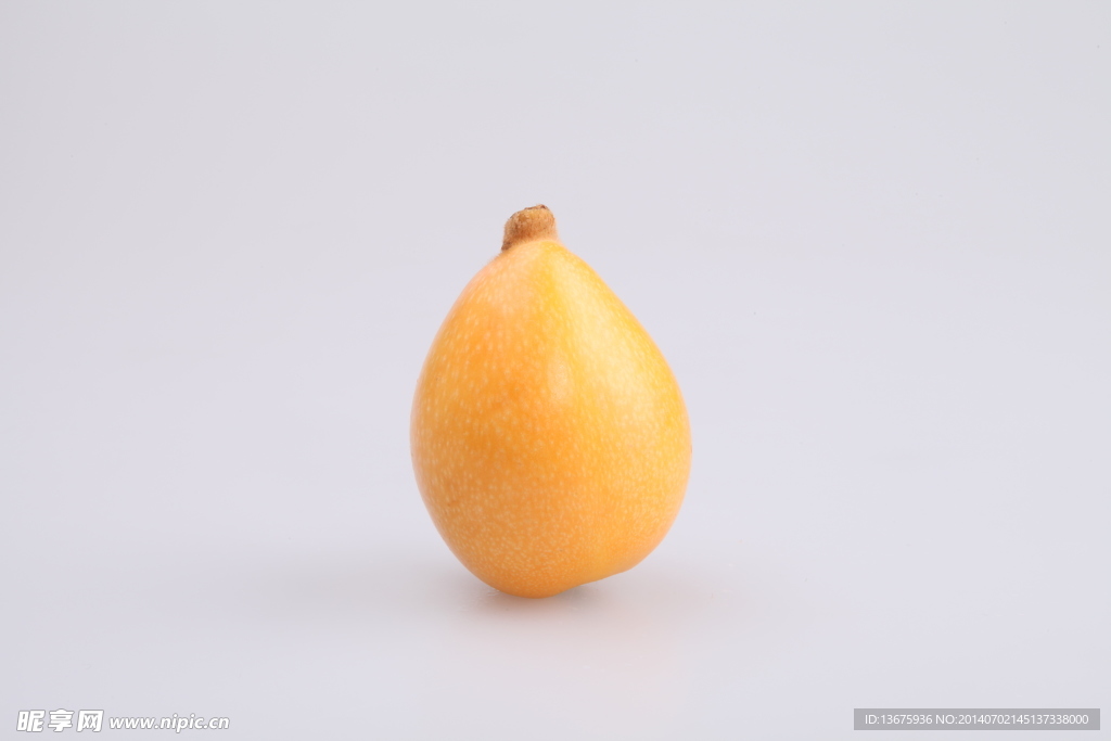 枇杷