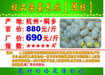 蚕丝被