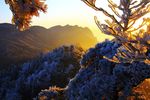 雪景五老峰