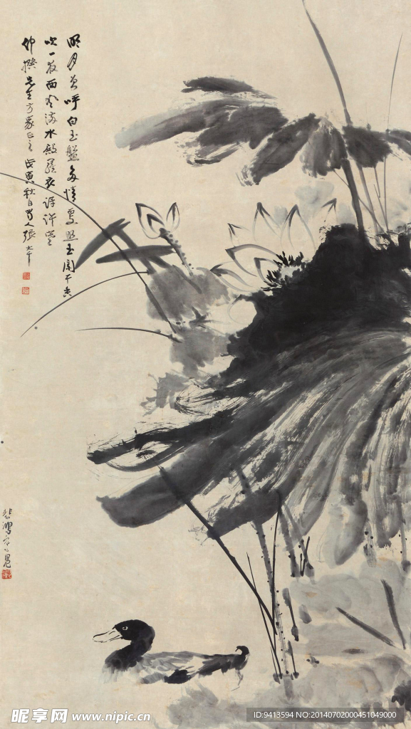 荷花鸭子