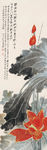 红荷