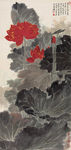 红荷