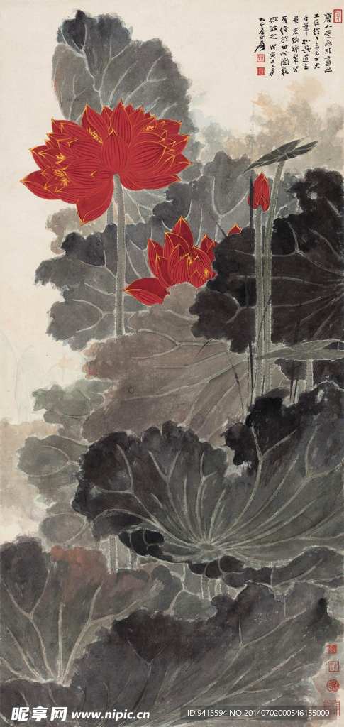 红荷