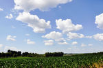 田园风景