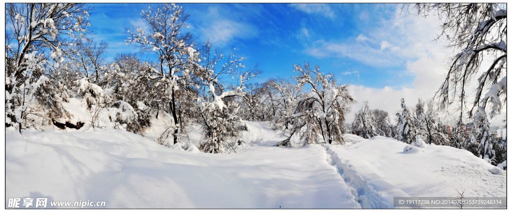 东北的雪