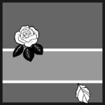 玫瑰花