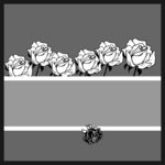 玫瑰花