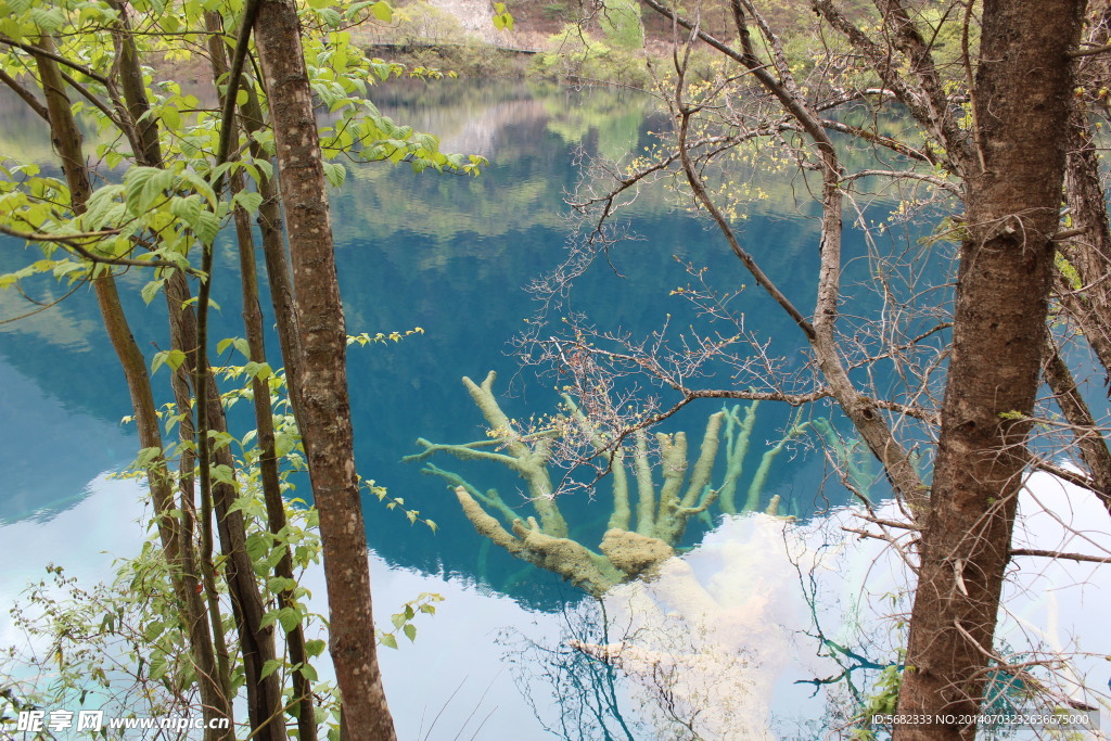 梦幻九寨
