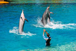 水族馆