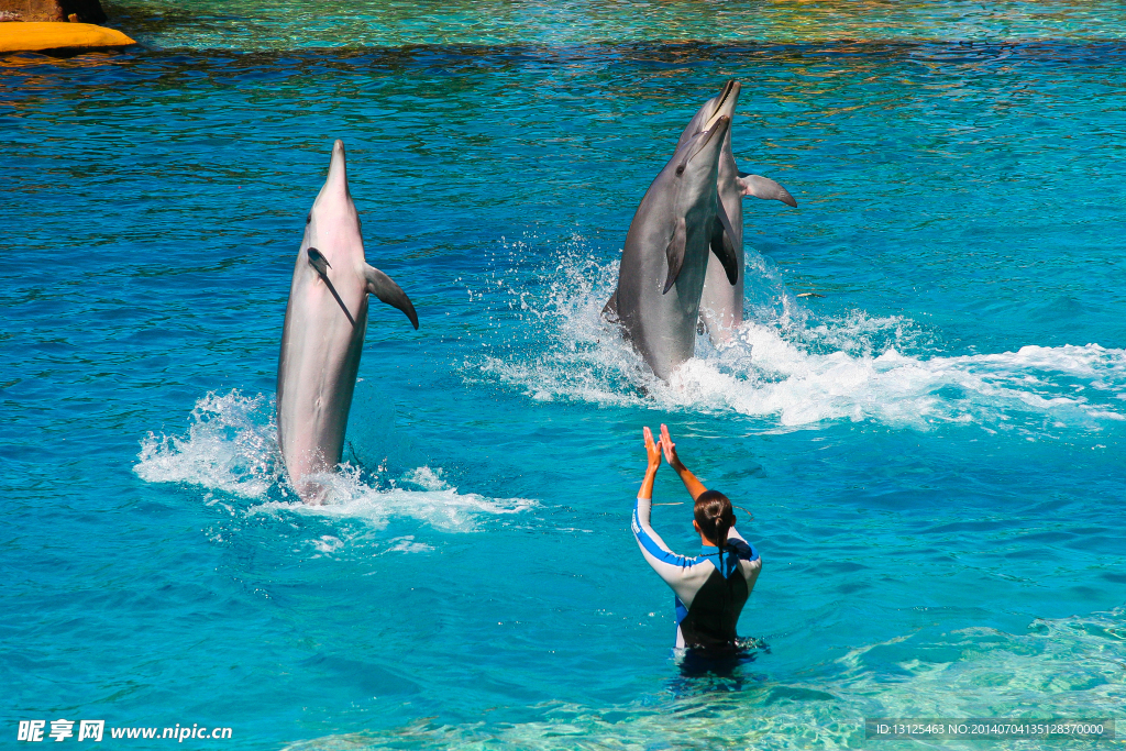 水族馆