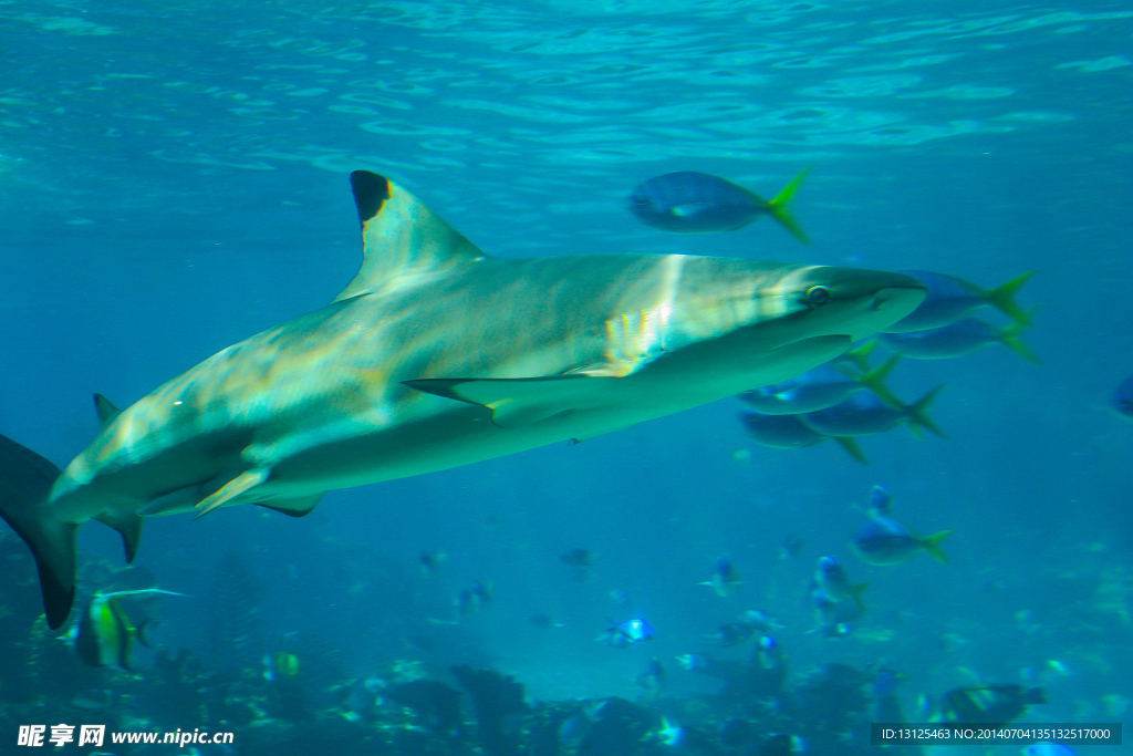 水族馆