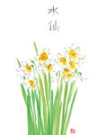 水仙花