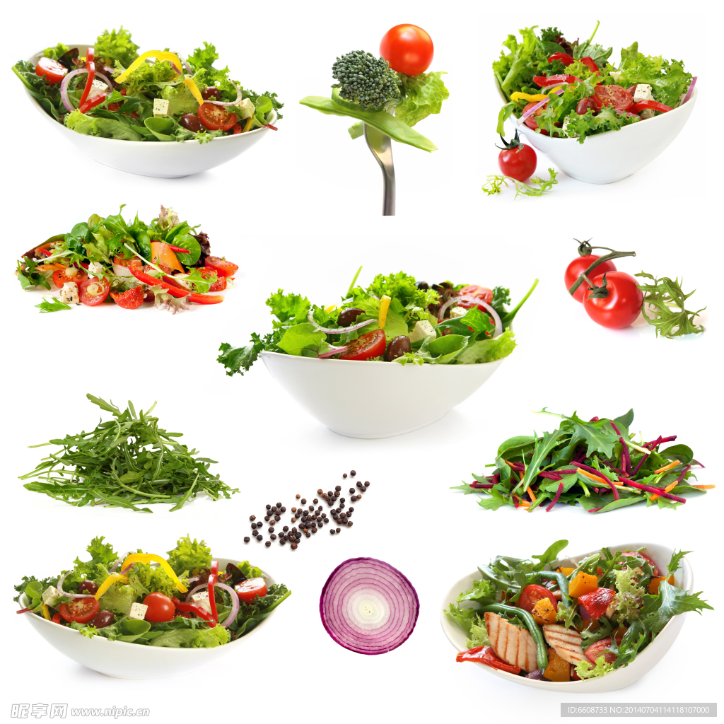 沙拉二 向量例证. 插画 包括有 绿色, 烹调, 可口, 洋葱, 新鲜, 黄瓜, 苹果酱, 骨髓, 石油 - 11192090