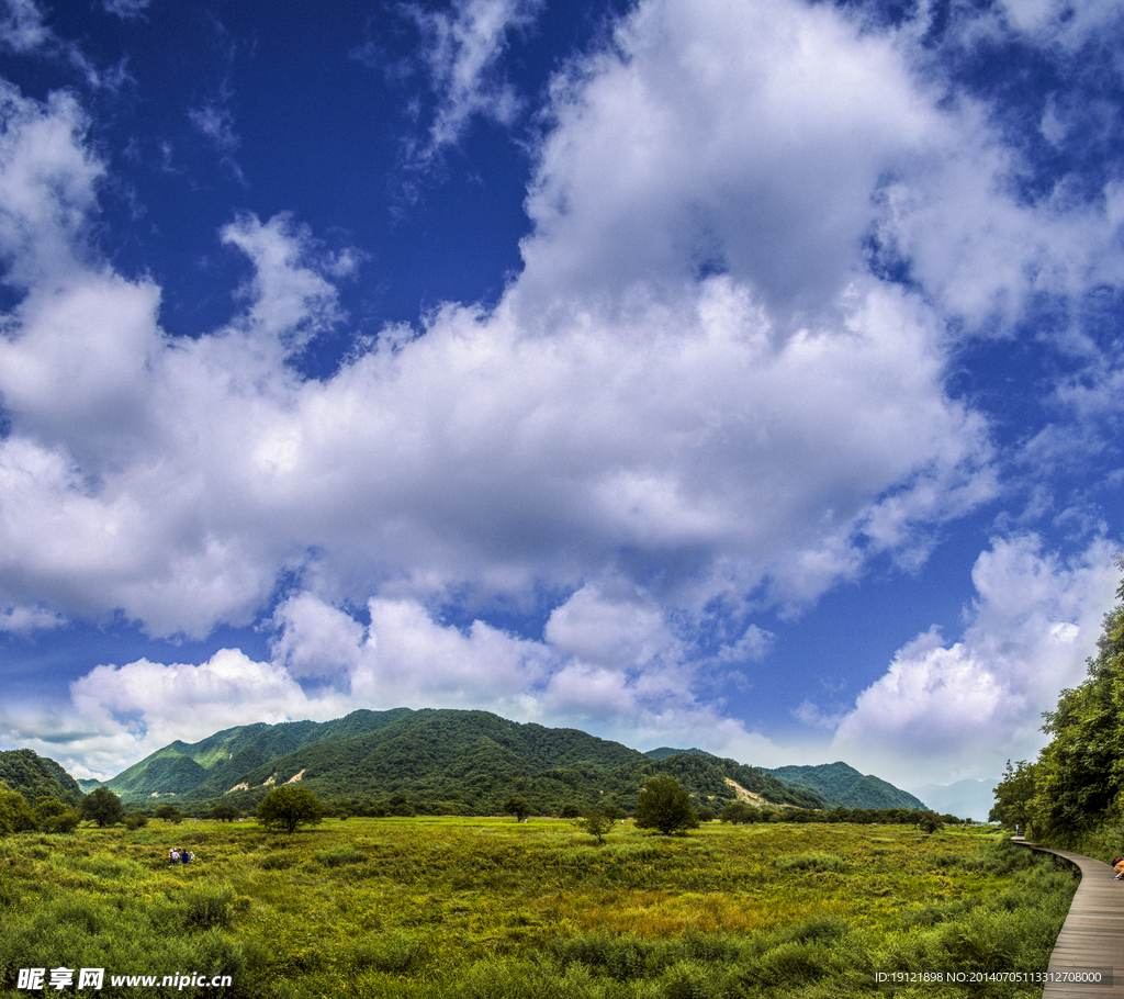 湖北神农架大九湖