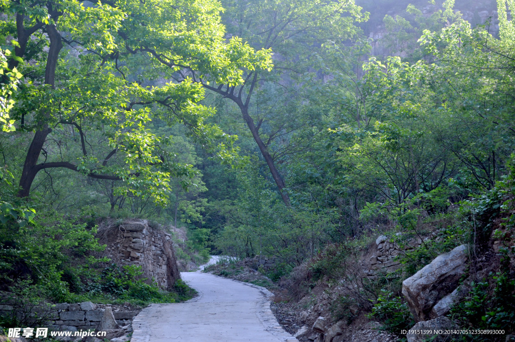 山区小路