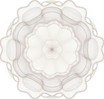 防伪花纹