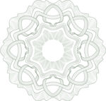 防伪花纹