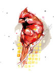 小鸟