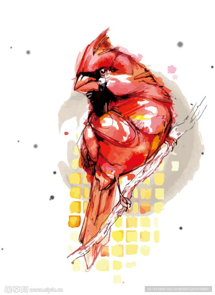 小鸟