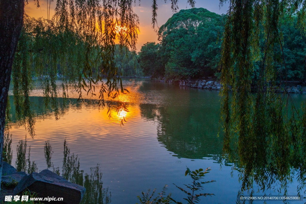 北京大学