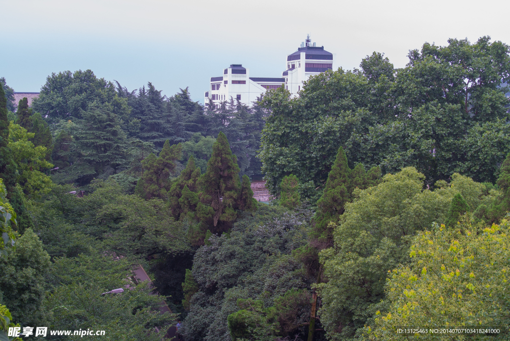 武汉大学
