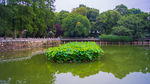 武汉大学