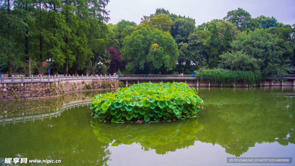 武汉大学