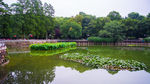 武汉大学