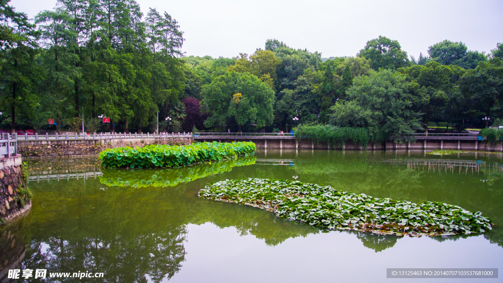 武汉大学