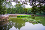 武汉大学