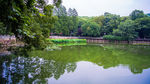 武汉大学